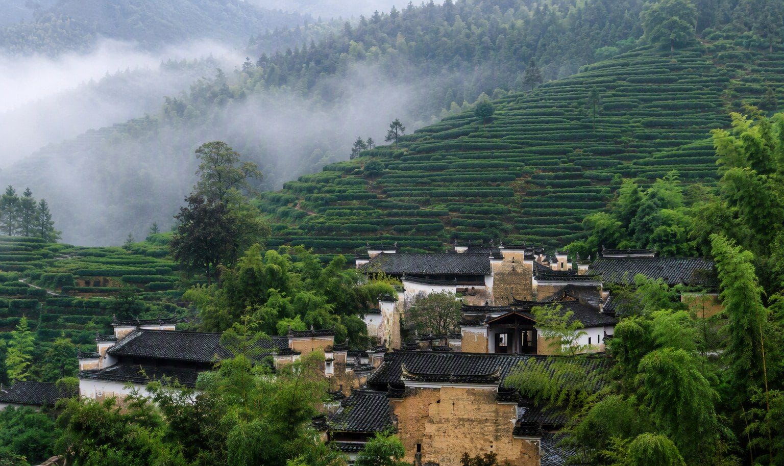 茶香里村