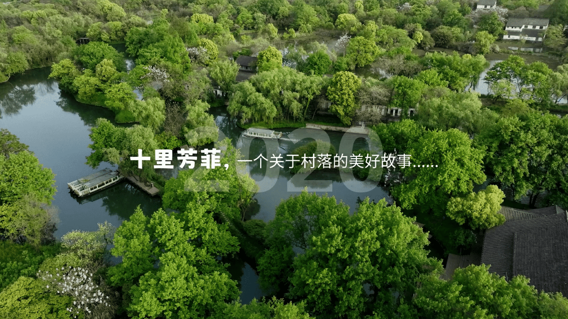 品牌视频