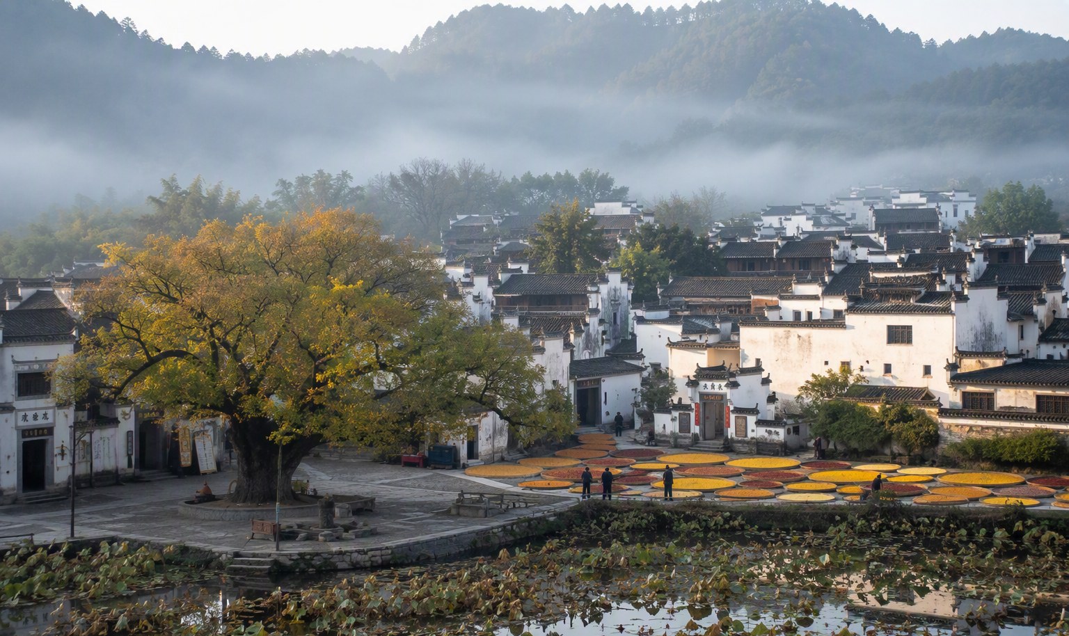 华蓥山 &middot; 天池湖轻徒步3